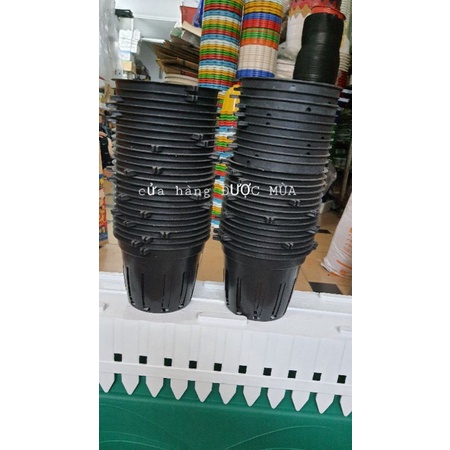 bán sỉ - 50 chậu nhựa trồng lan phi 12
