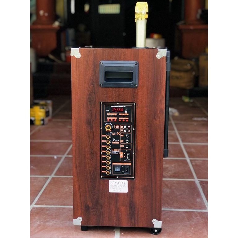 Loa Kéo Karaoke Bass 40 2 đường tiếng Vỏ Gỗ Đời Mới Tặng 2 Micro Cao Cấp Siêu Hút Âm