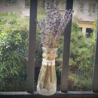 Lọ hoa Lavender nhập khẩu Pháp