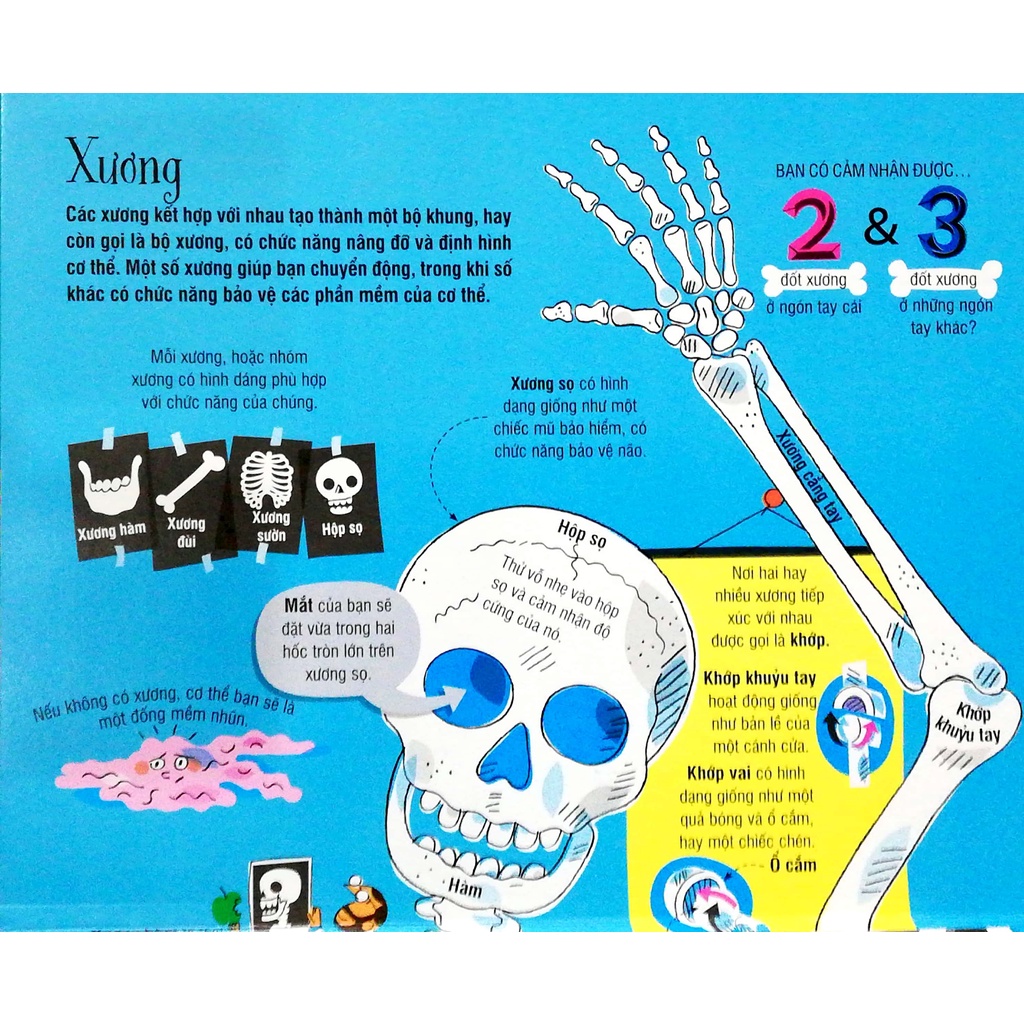 Sách Big Book - Cuốn Sách Khổng Lồ Về Cơ Thể Người