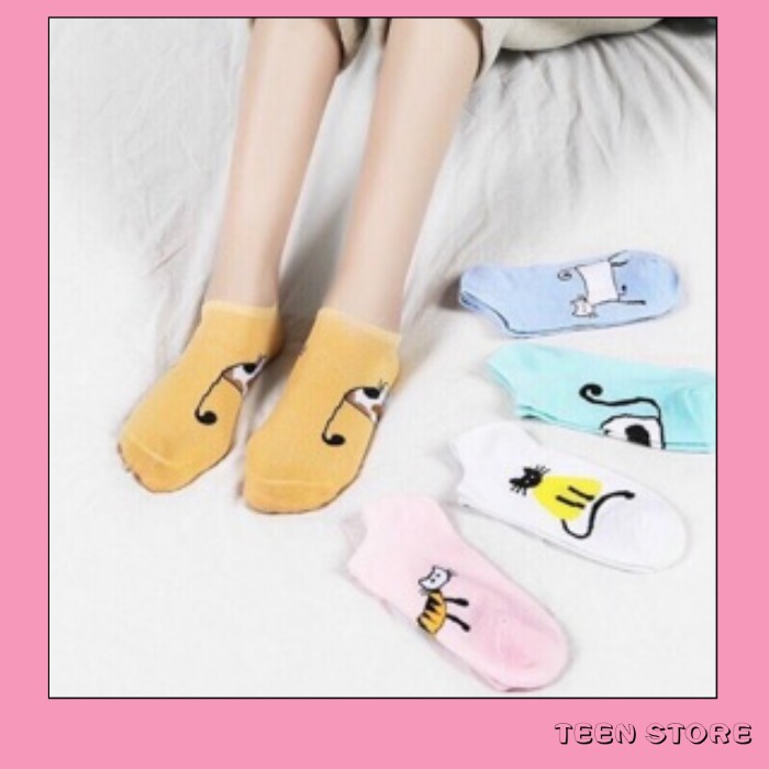 Sét 5 đôi/10 đôi tất mèo baby Quảng Châu