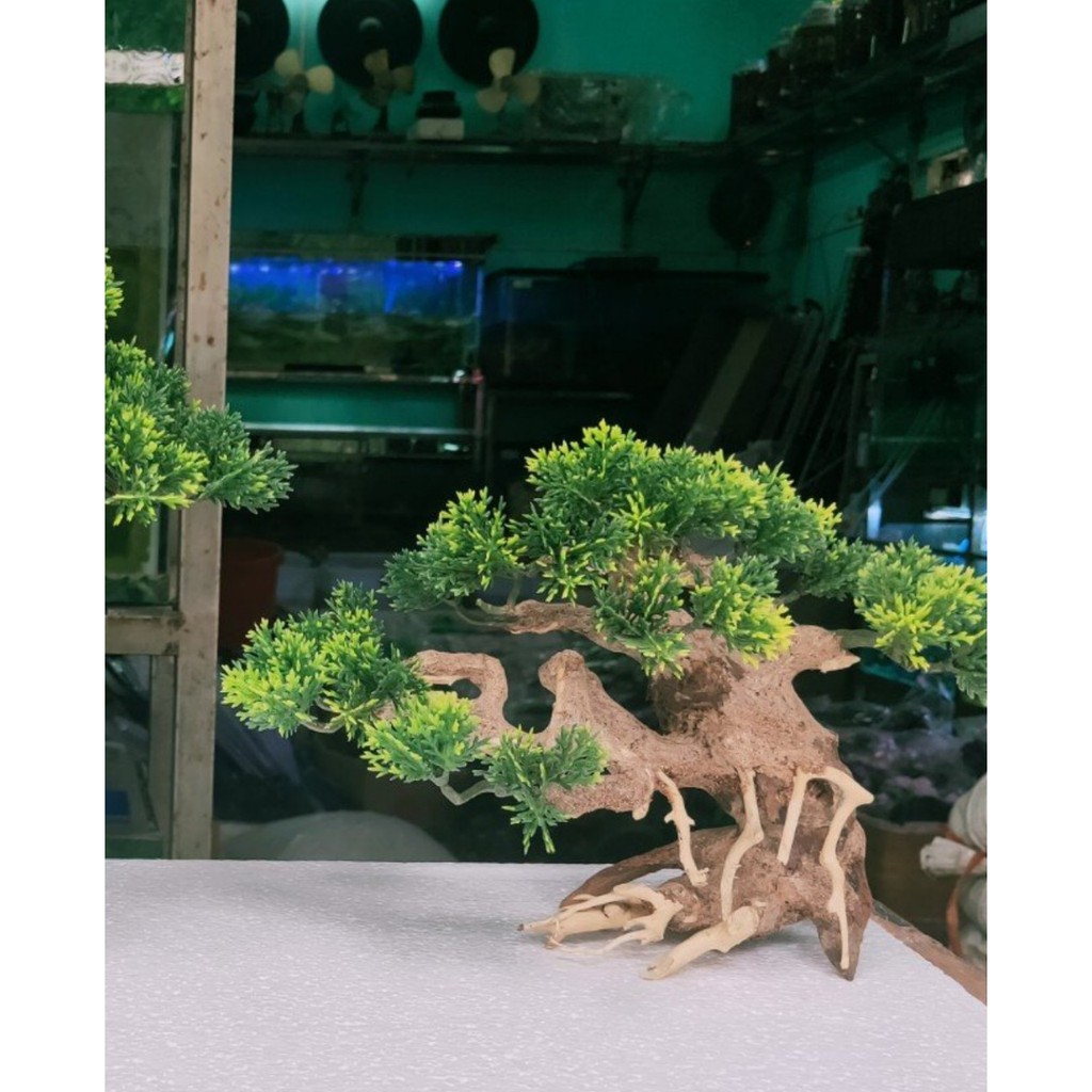 Mô hình Cây gỗ lũa thủy sinh Có tán lá nhựa dùng cho bể cá cảnh, Gỗ lũa các SIZE