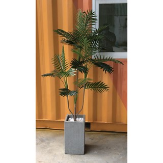 Cây cau giả 1,5m