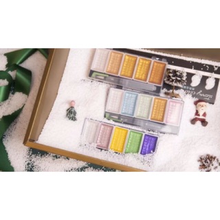 Set màu nước 5 màu nhũ của Superior
