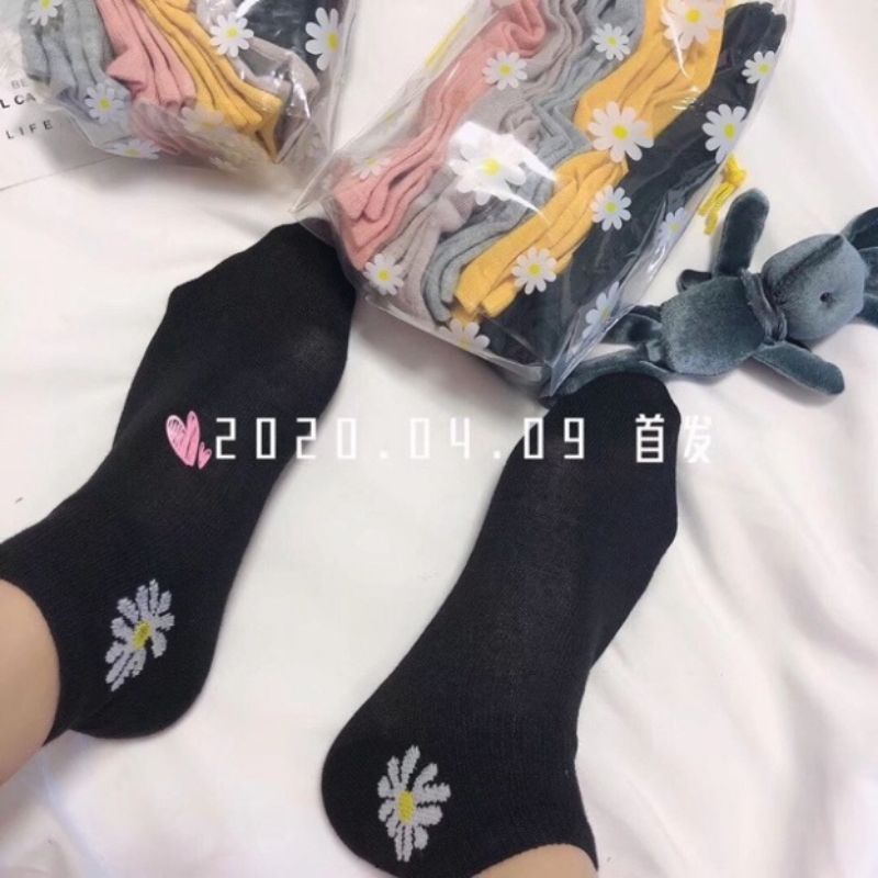 [RẺ VÔ ĐỊCH] Combo 3 Đôi Tất Vớ Nam Nữ Đi Giày - Tất cổ Trụ Hoa Cúc Lẻ Mix Màu Siêu Xinh
