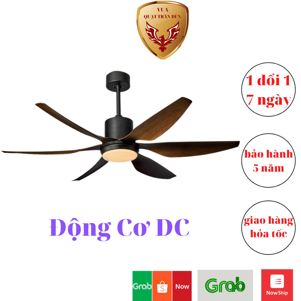 Quạt Trần Trang Trí Phòng Khách QTD222, Quạt Trần Đèn 6 Cánh Màu Vân Gỗ, Động Cơ DC