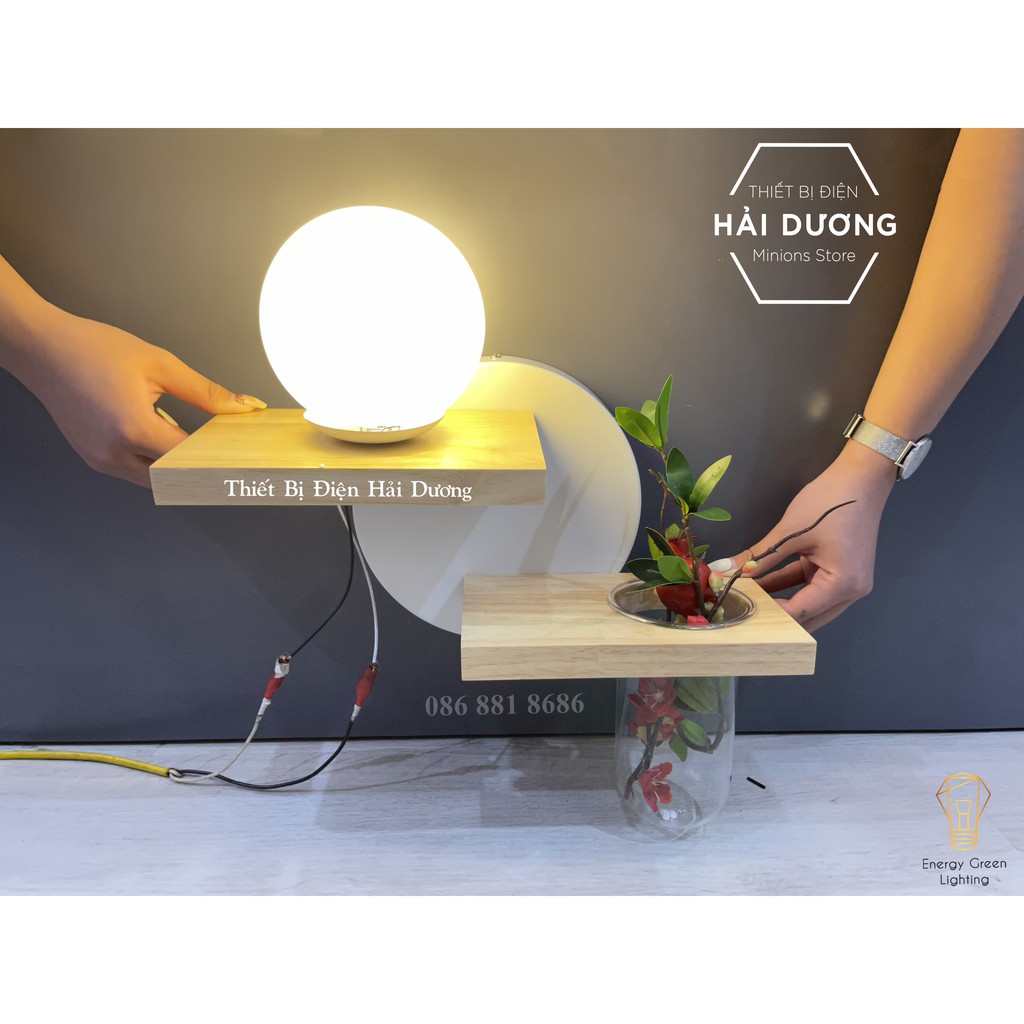 Đèn Tường Kệ Gỗ Chao Thủy Tinh Hiện Đại DT-3639 - Trang Trí Căn Phòng - Energy Green Lighting - Đã Bao Gồm Bóng LED 3W