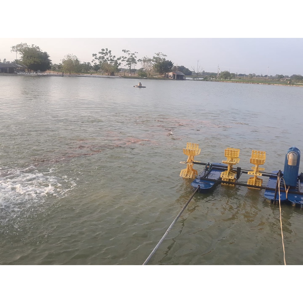 Men Vi Sinh Đáy BZT PRO  Xử Lý Đáy Ao Nuôi Hiệu Qủa Gói 500gr