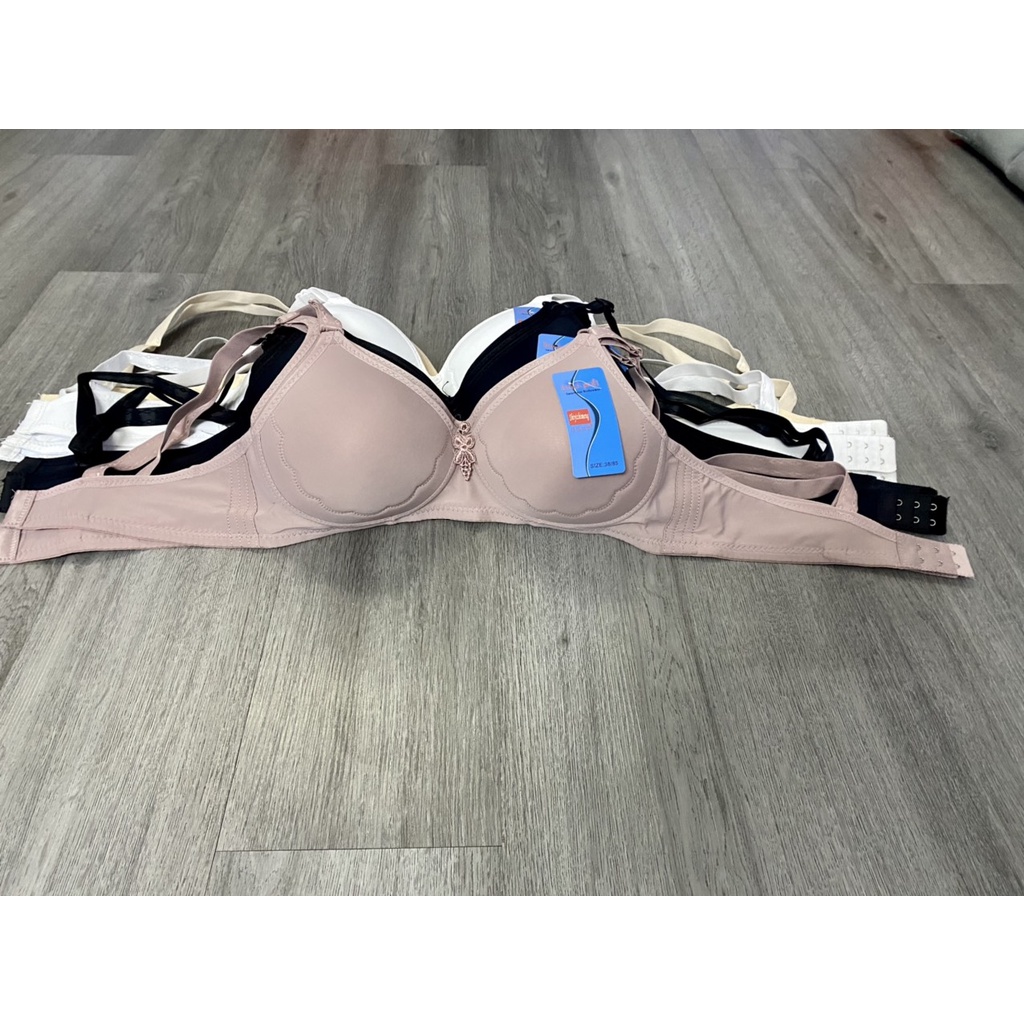 Áo ngực mút mỏng, không gọng size lớn 38 40 42 Ms319