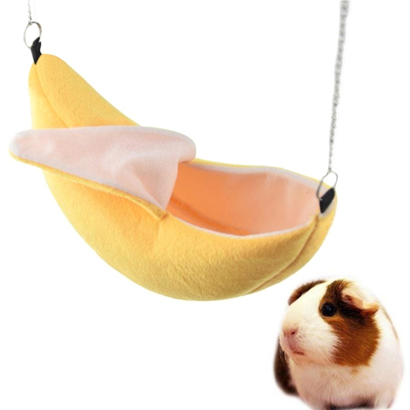 Võng Treo Hình Trái Chuối / Sóc / Chuột Lang / Guinea / Chuối Dễ Thương