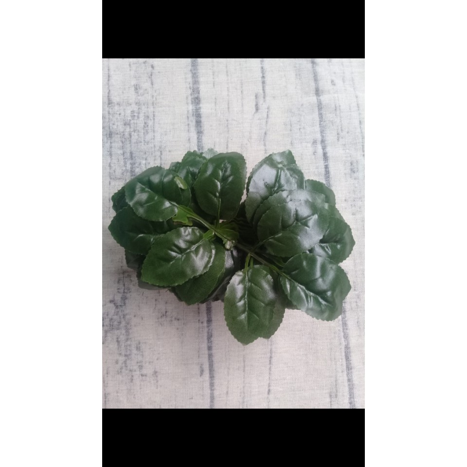 100GR LÁ HOA HỒNG