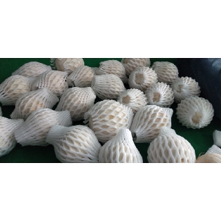 Dừa xiêm trọc