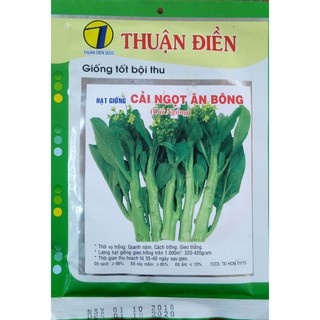HẠT GIỐNG RAU CẢI NGỒNG - 50GR