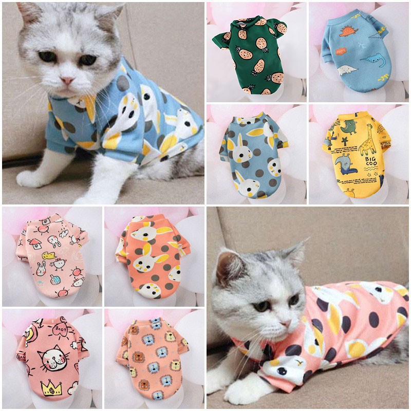 Áo thú cưng xinh xắn thoải mái thời trang xuân hè