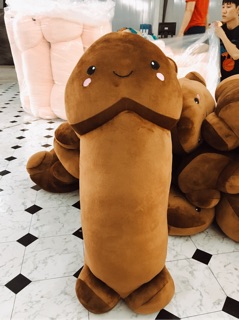 Gối ôm Ciu kute