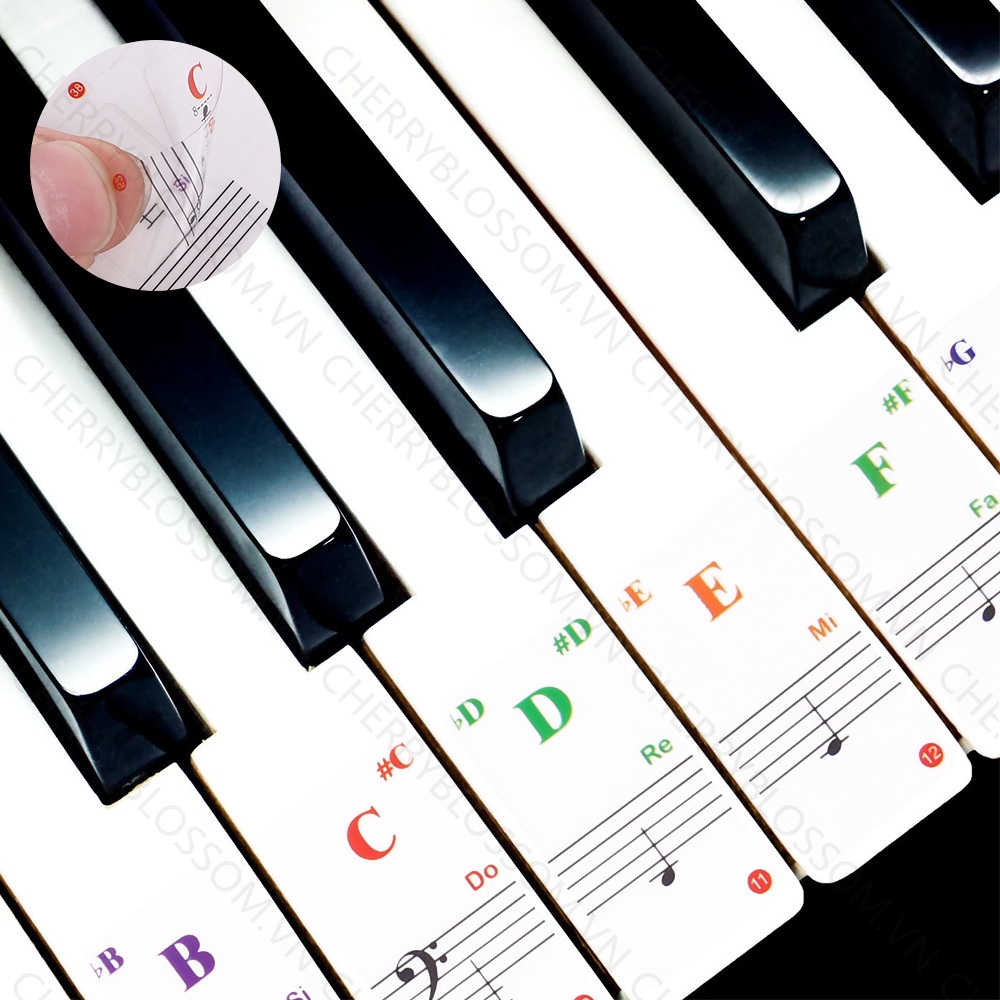 【COD】Miếng Dán Phím Đàn Piano Trong Suốt Loại 88 / 61 / 54 / 49 / 37 / 32 Phím Tiện Dụng
