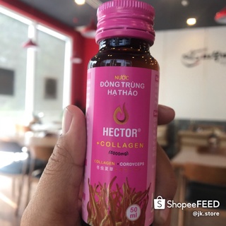 Nước uống Đông Trùng Hạ Thảo Hector Collagen 10 chai 50ml