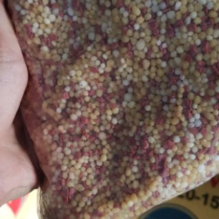 Phân bón gốc con cò vàng 20-20-15+Te