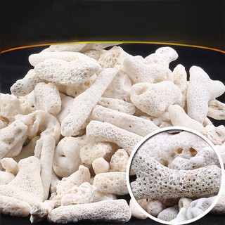 COMBO Chuỗi vật liệu lọc cho bể cá