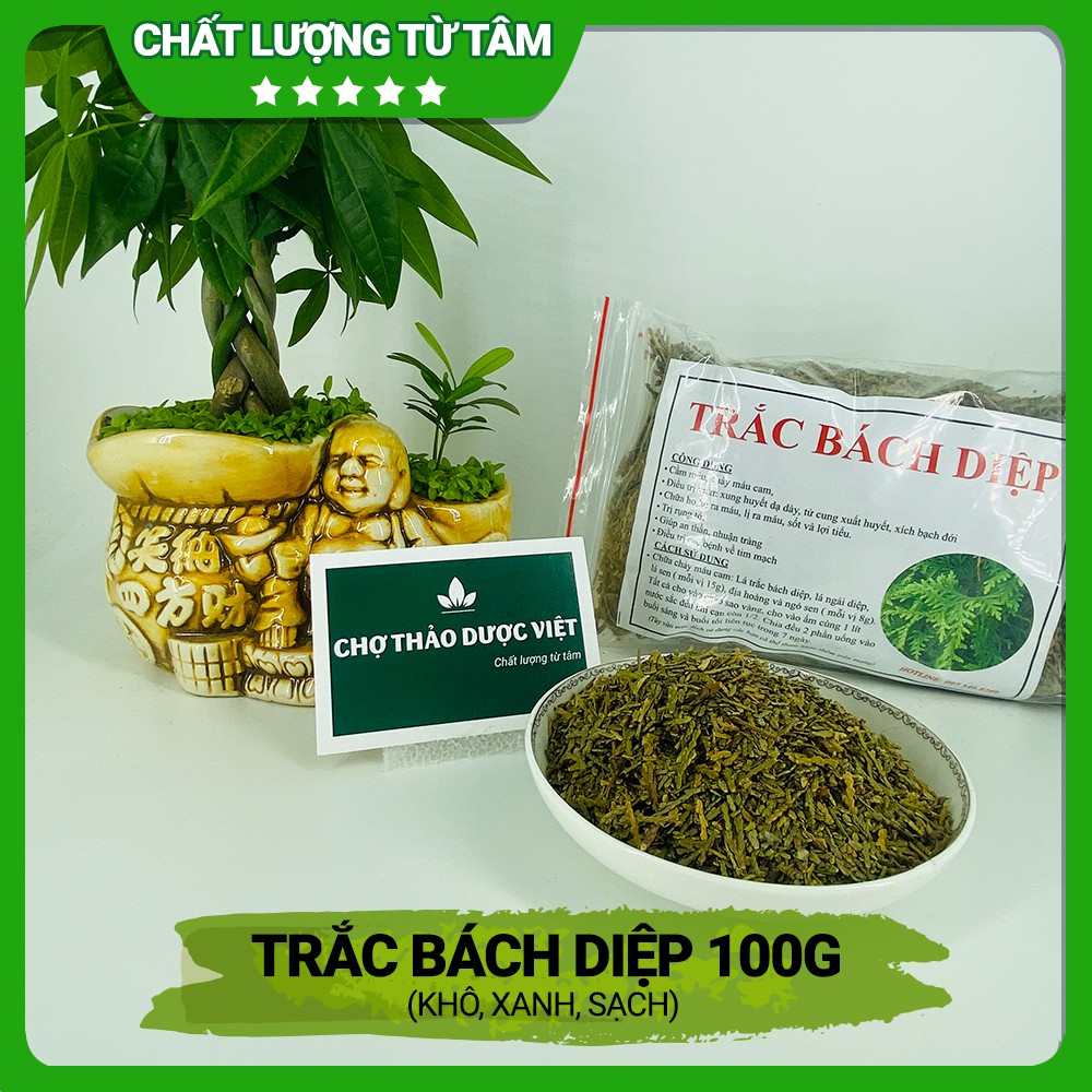 Trắc bá diệp khô 100g ( Trắc bách diệp xanh, thơm, đẹp) - Chợ Thảo Dược Việt