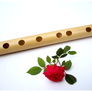 SÁO TRÚC > SÁO ĐỦ TONE