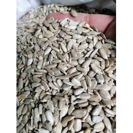 Hạt hướng dương bóc vỏ 1kg dùng làm nhân bánh trung thu