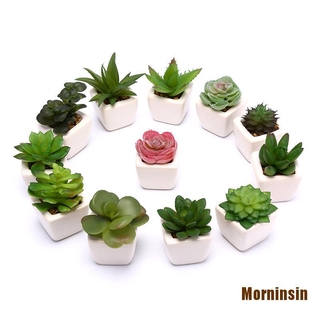 ❀Morninsin❀Chậu Cây Bonsai Giả Bằng Gốm Sứ Thời Trang