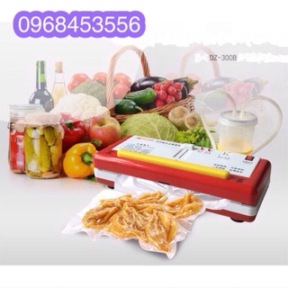 ( GIÁ SỈ) Máy hút chân không DZ300b