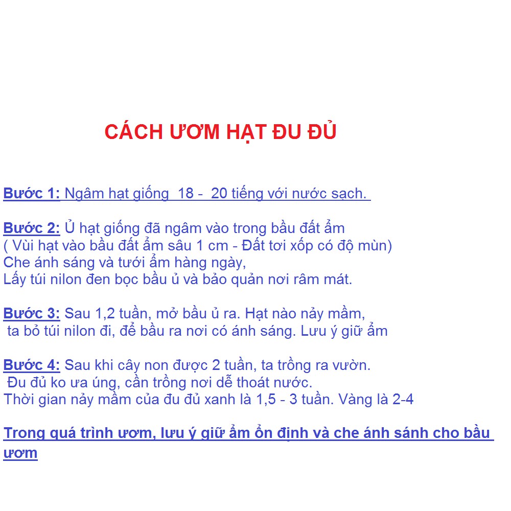 Hạt giống đu đủ siêu ngọt gói 5 hạt xuất xứ Thái Lan