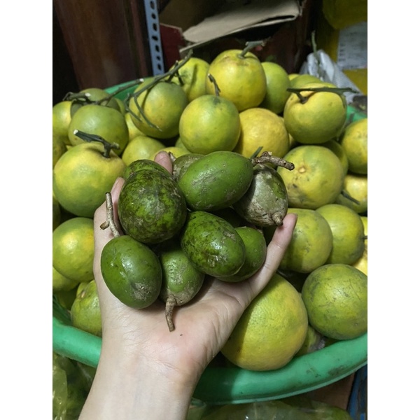 1Kg Cóc non/ Cóc lớn