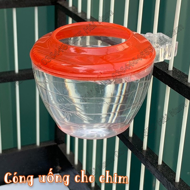 Cóng ăn uống cho chim chào mào , họa my, các loại chim cảnh khác