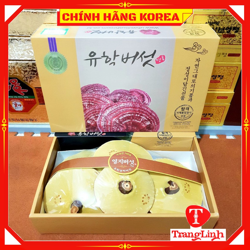 Nấm linh chi hàn quốc hộp quà thượng hạng - Nấm vàng chanh 1kg - tranglinhkorea