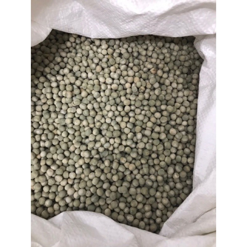  [Sale] Đậu Hà Lan Sống 1kg | BigBuy360 - bigbuy360.vn