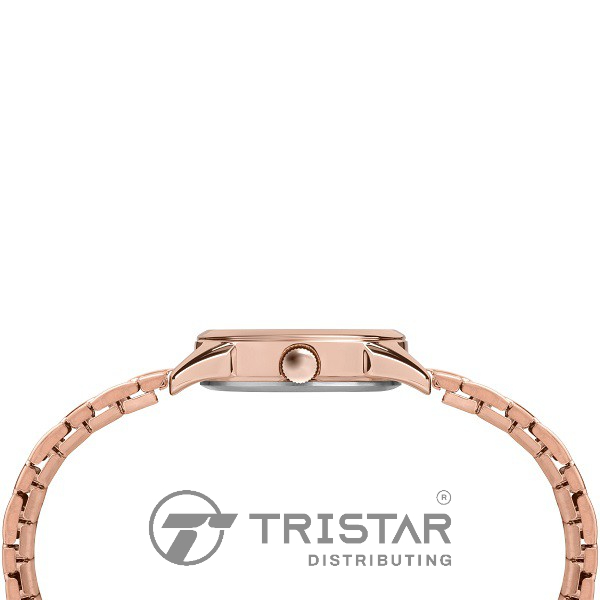 Đồng hồ Nữ Timex Classic Briarwood 28mm - TW2T45600 Dây Kim Loại - Chính Hãng