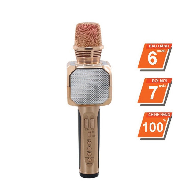 Micro karaoke bluetooth SD-10 Mic hát cầm tay loa không dây mini hát hay đa năng có ghi âm