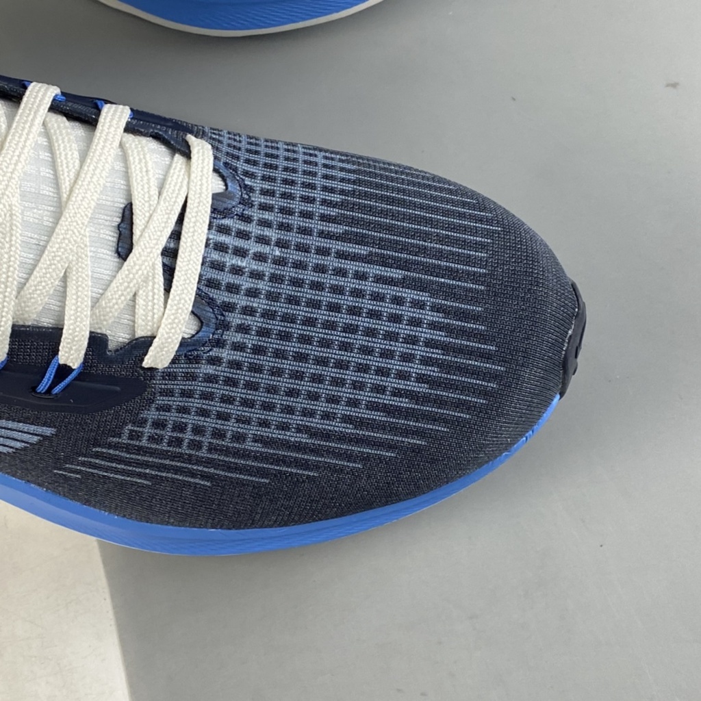 Giày Thể Thao Nike Pegasus 39