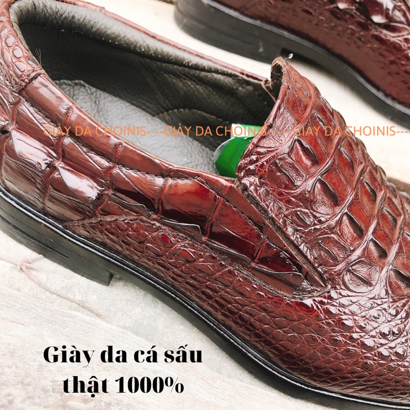 Giày tây da cá sấu xịn 100% tại CHOINIS