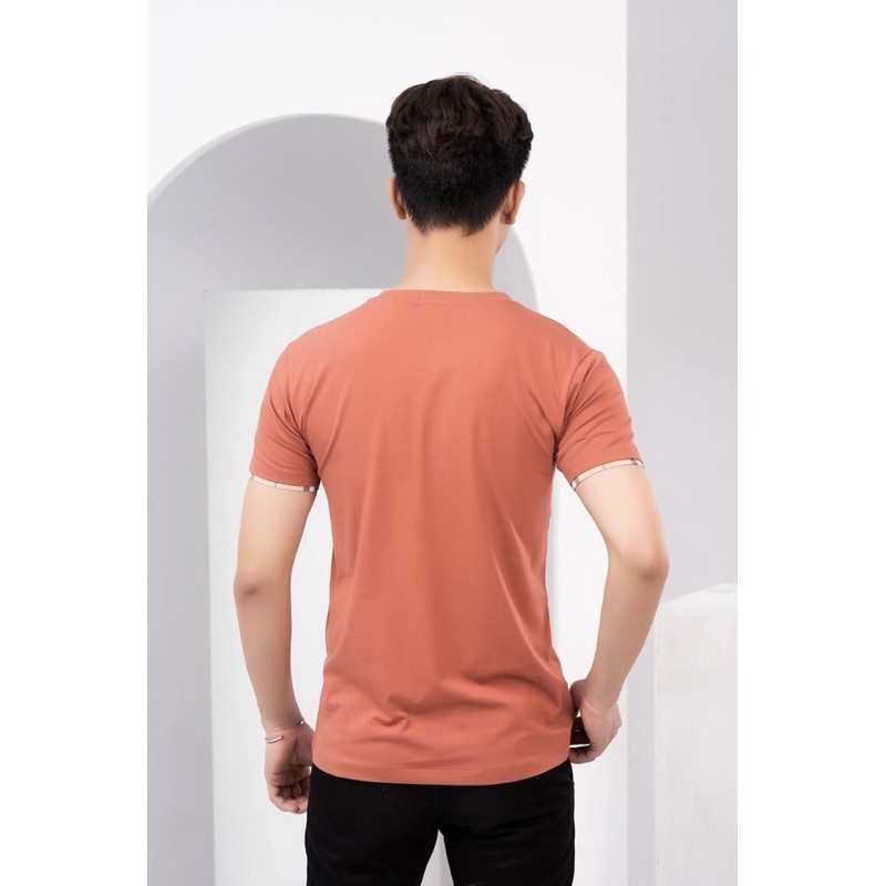 Áo phông nam kẻ | BigBuy360 - bigbuy360.vn