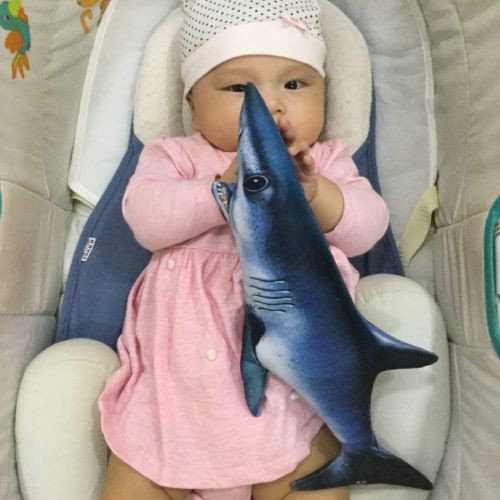 Gối ôm 3D cá Mập size cỡ nhỏ 40cm cho bé
