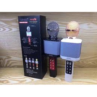 Micro Karaoke WS-1828