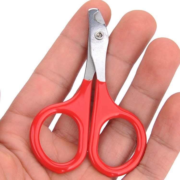 Kéo cắt móng chất liệu thép không gỉ bền chắc trau chuốt ngoại hình làm đẹp cho chó mèo