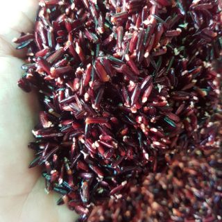 Gạo lứt tím thảo dược hữu cơ