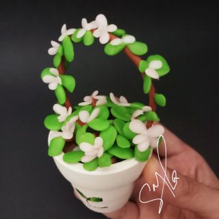 Cây Cẩm Thạch đất sét 5cm
