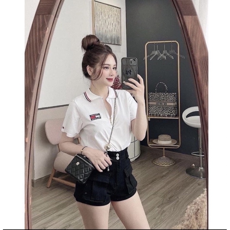Áo Polo Cổ Bẻ Siêu Xinh
