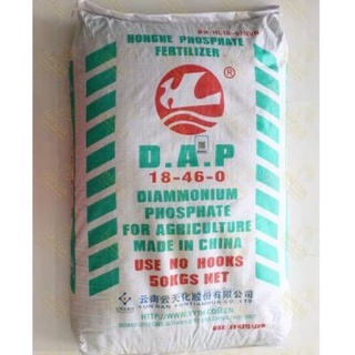 DAP hat xanh hồng hà