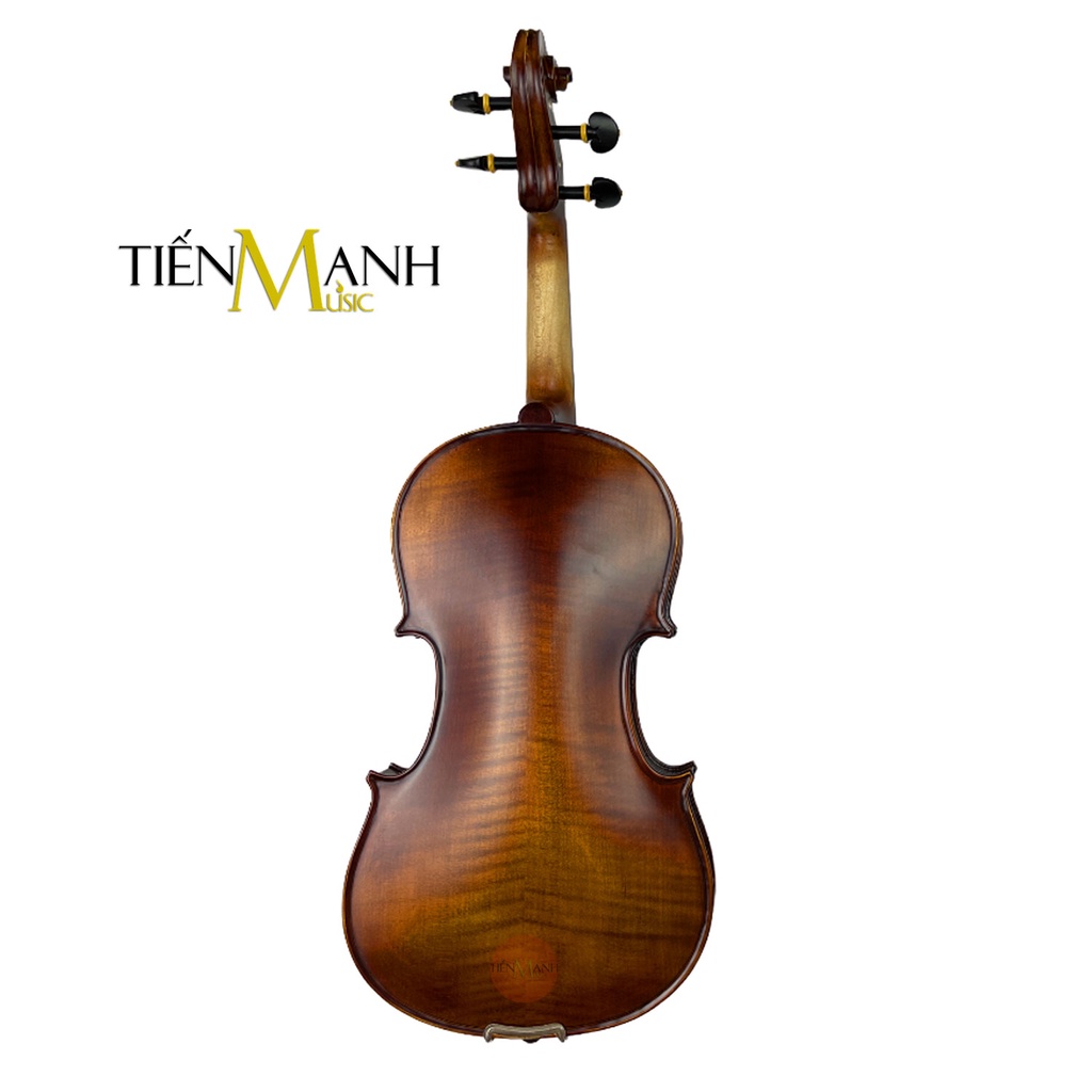 [Hàng Xuất Âu] Đàn Violin Amati Vân Thật VF300 Size 4/4, 3/4, 1/2, 1/4, 1/8, 1/10, 1/16 - Vĩ Cầm VF-300 Vi-ô-lông Violon