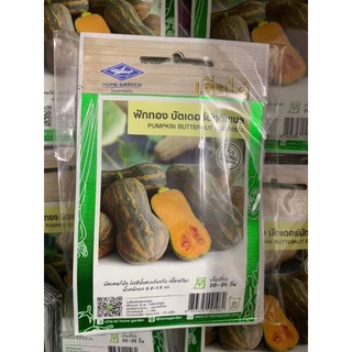 Hạt Giống Bí Ngô Mật Butternut dubell f1 .Gói 10 hạt ,nhập khẩu nguyên gói Thái Lan