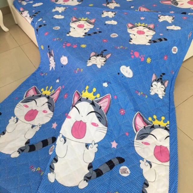 [Freeship khách  HCM & HN] Chăn hè poly trần bông