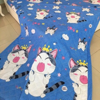 [Freeship khách  HCM & HN] Chăn hè poly trần bông