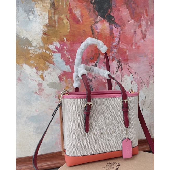 Túi xách nữ Coach Mollie Tote color size 25